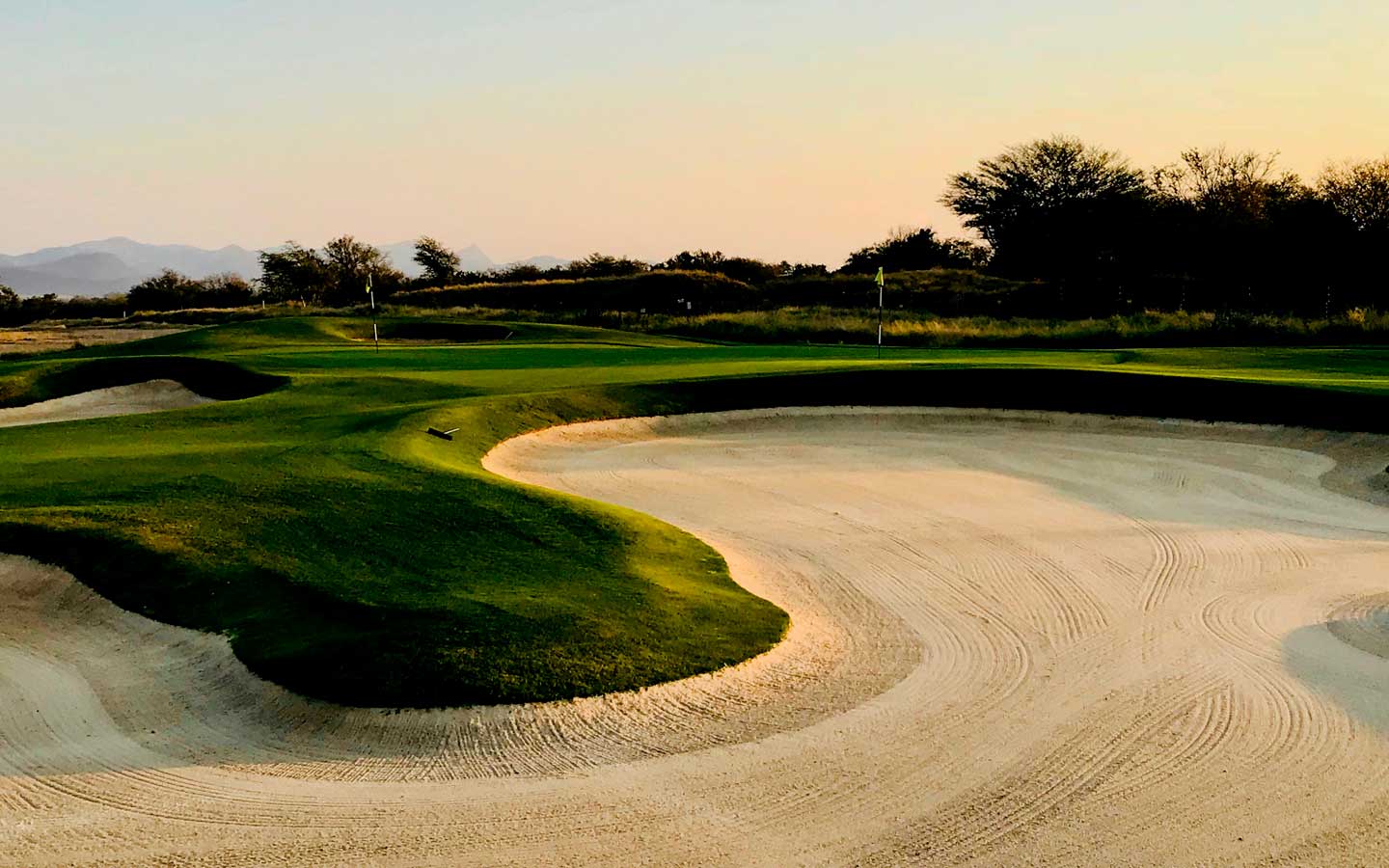 Professional golf performance and recovery support