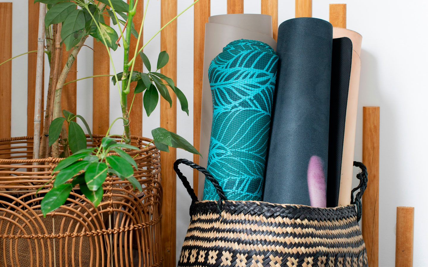 Spinal Energetics Wellness and Health Assessment Form
