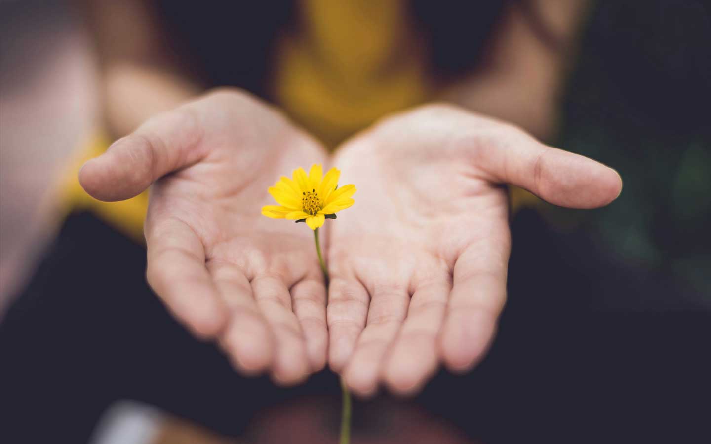 Seichem Reiki gentle healing session