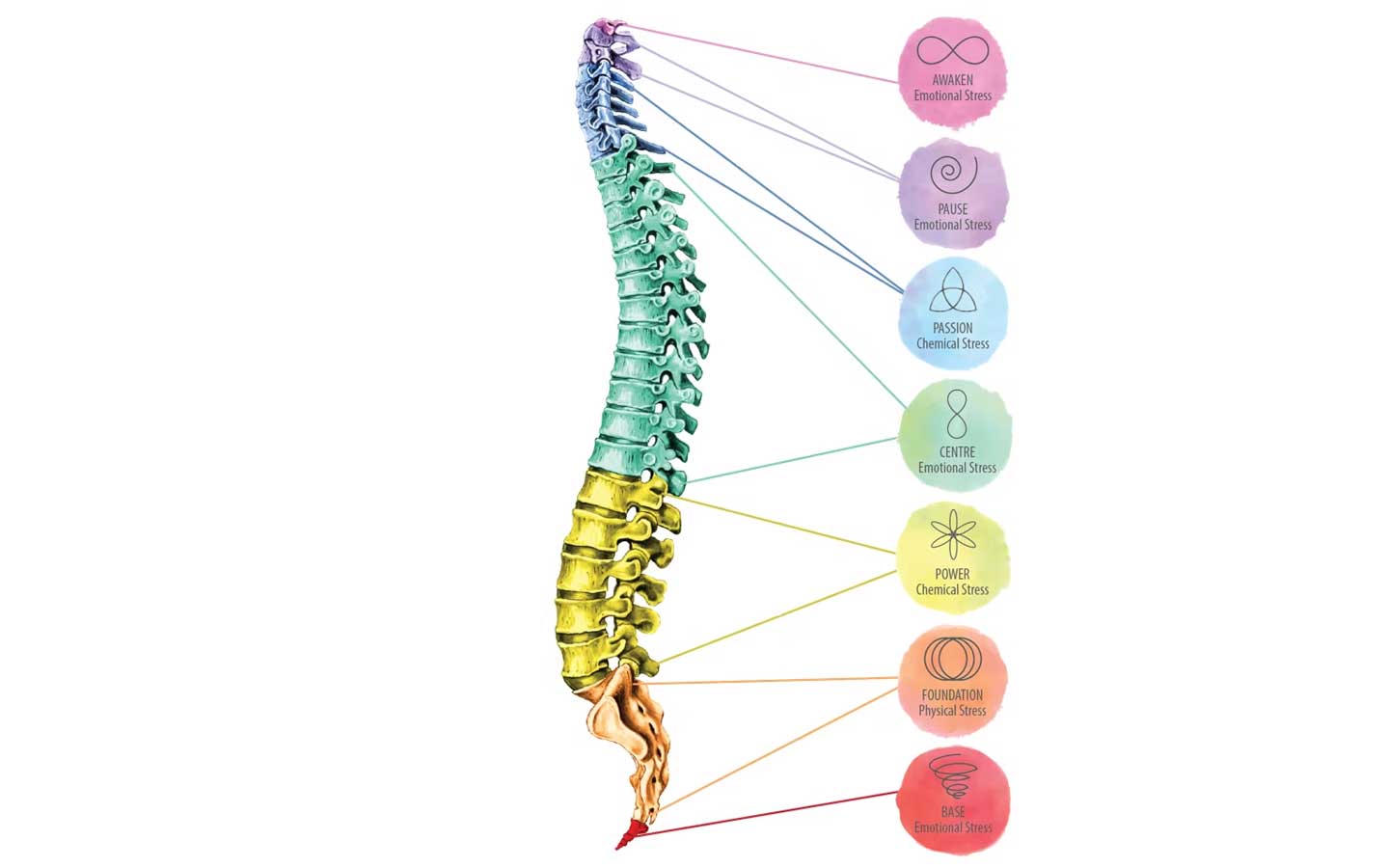 7 gateways of Spinal Flow